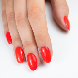 Longwear Neglelak 245 Stuck In The Game 