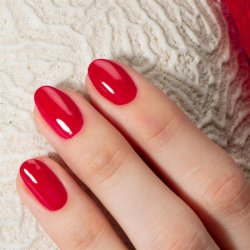 Sopolish 70 Law of the Jungle 