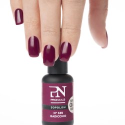 Sopolish 339 Radicchio