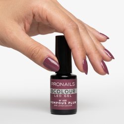 ProNails BCOLOUR AW26/27 Collection Box � 12 farver