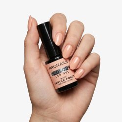 ProNails BCOLOUR AW26/27 Collection Box � 12 farver