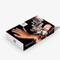 BCOLOUR Box Aw 25/26 - 12 stk.