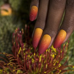 Creamy Paint Palette 5 Colours - Ombre Cremefarve