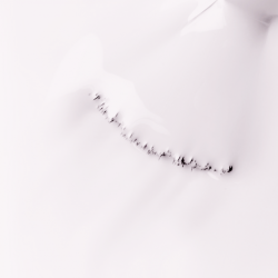 Sopolish 237 Sunset Ceremony