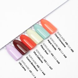 BColour Box SS26 - 12 stk.