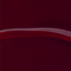 Sopolish 339 Radicchio